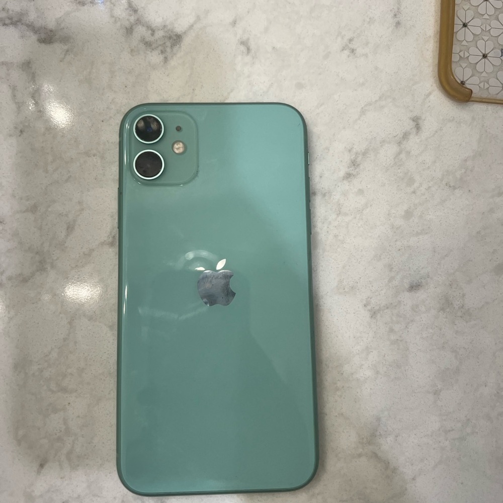 Apple iPhone 11 in Mint Green